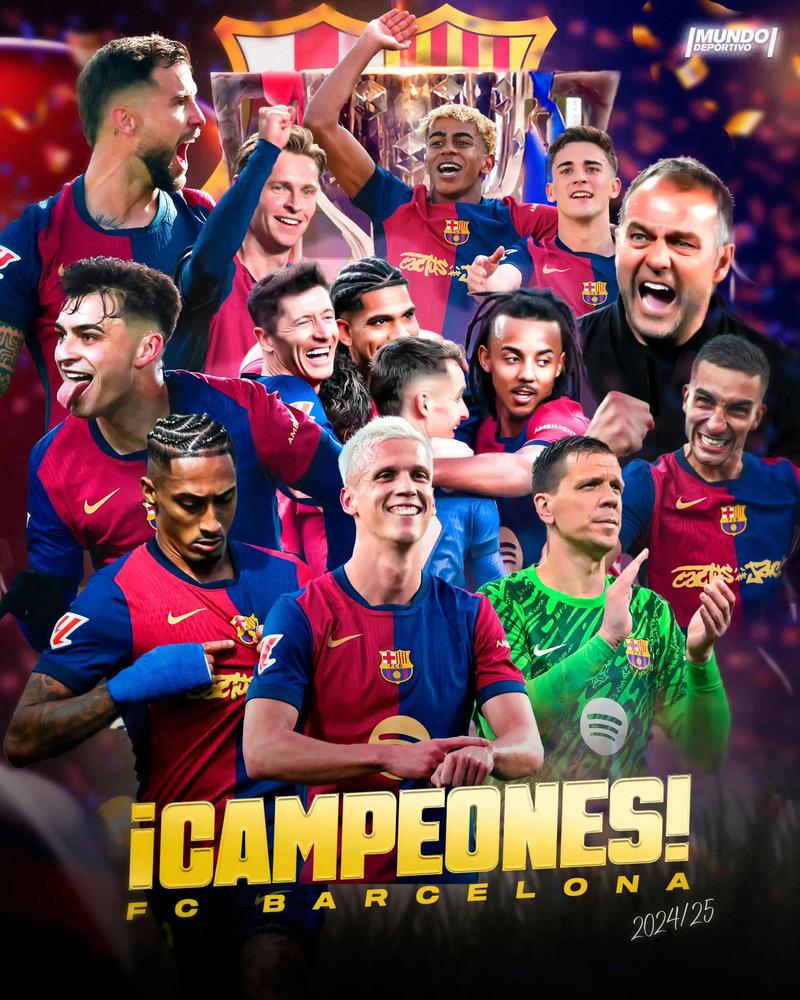 或墨黑皮